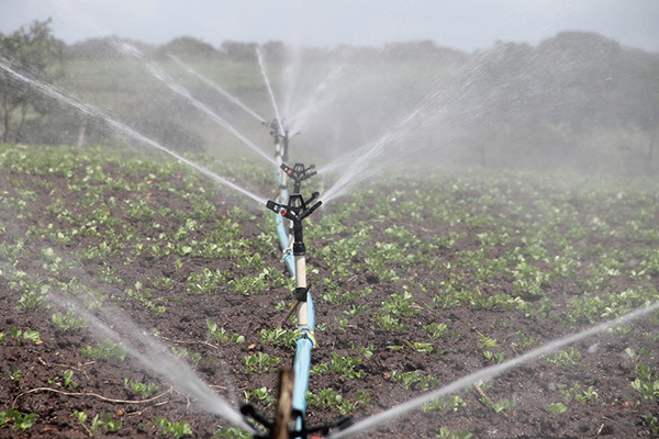 臨夏好的農田灌溉工程